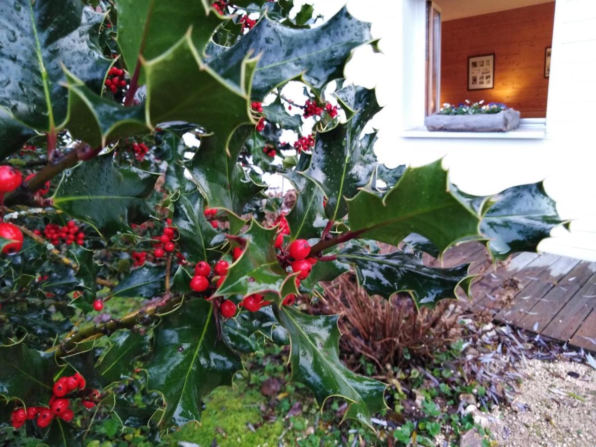 Chalet La Bachole Charancieu Dış mekan fotoğraf