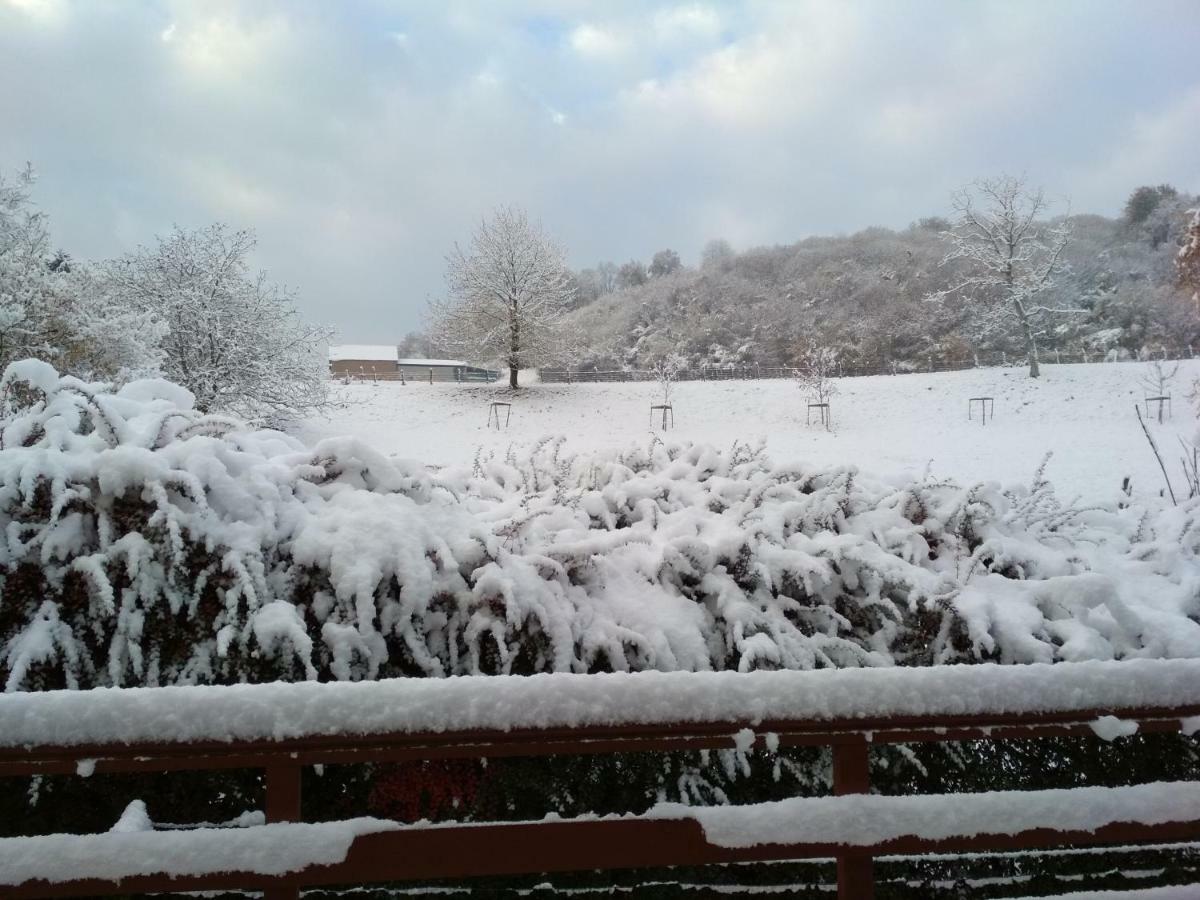 Chalet La Bachole Charancieu Dış mekan fotoğraf